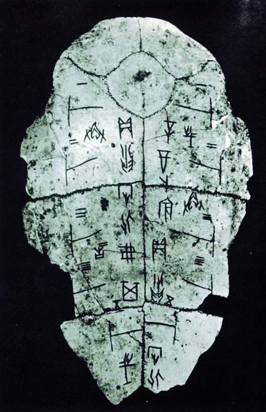 图片地址1