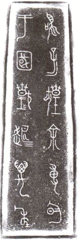 图片地址3