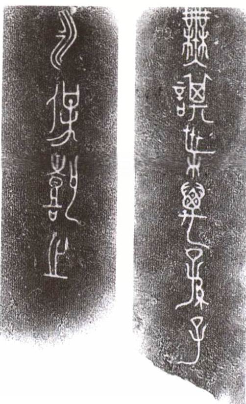 图片地址4