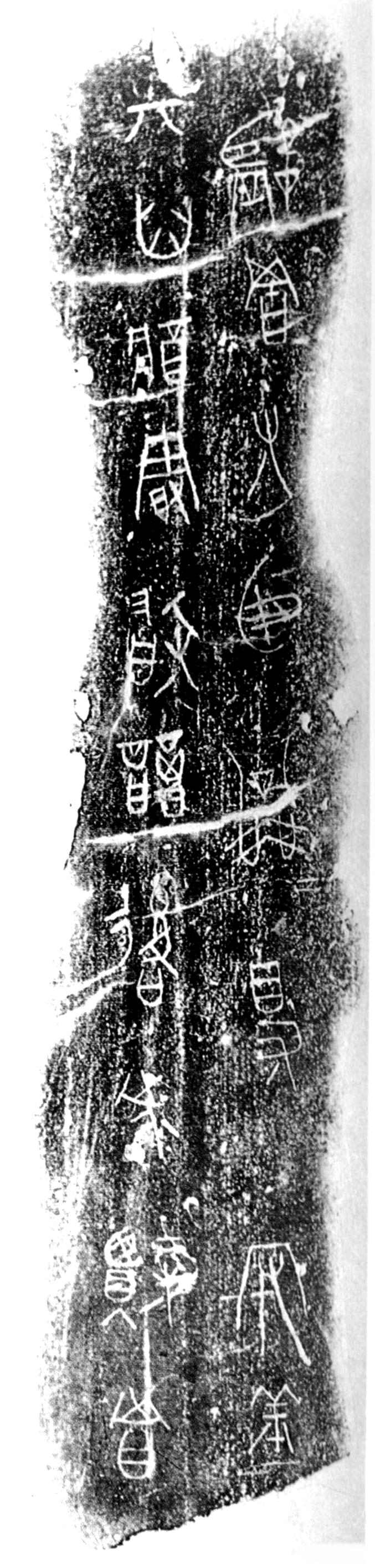 图片地址2