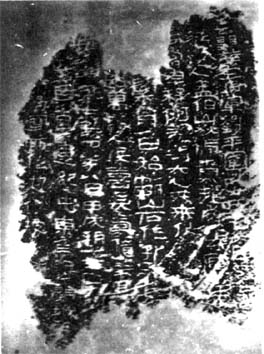 图片地址1