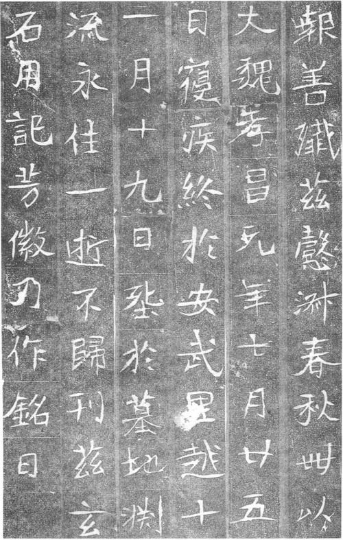 图片地址3