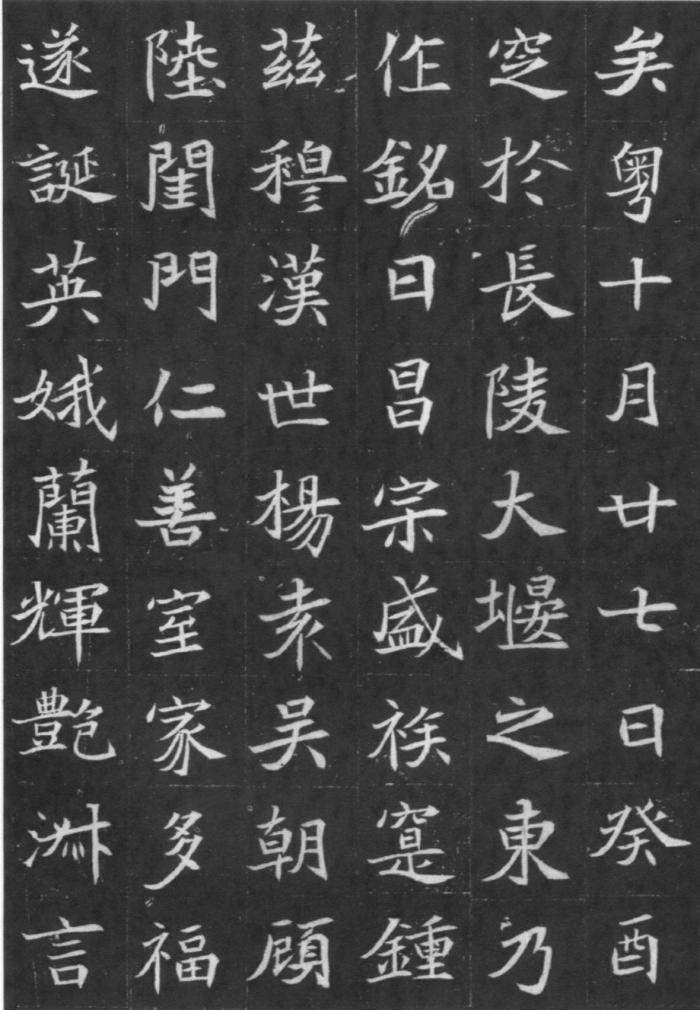 图片地址5