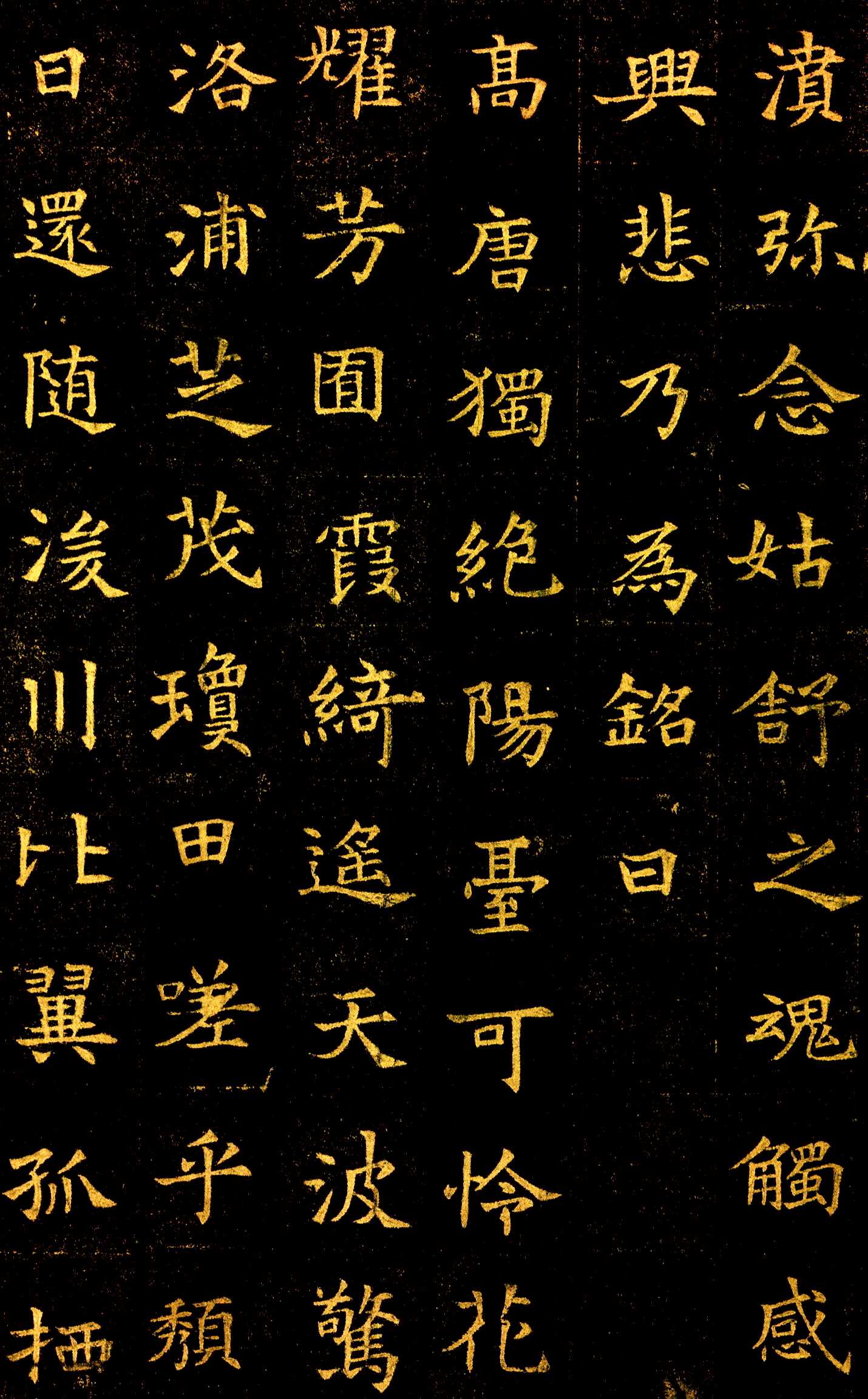 图片地址5