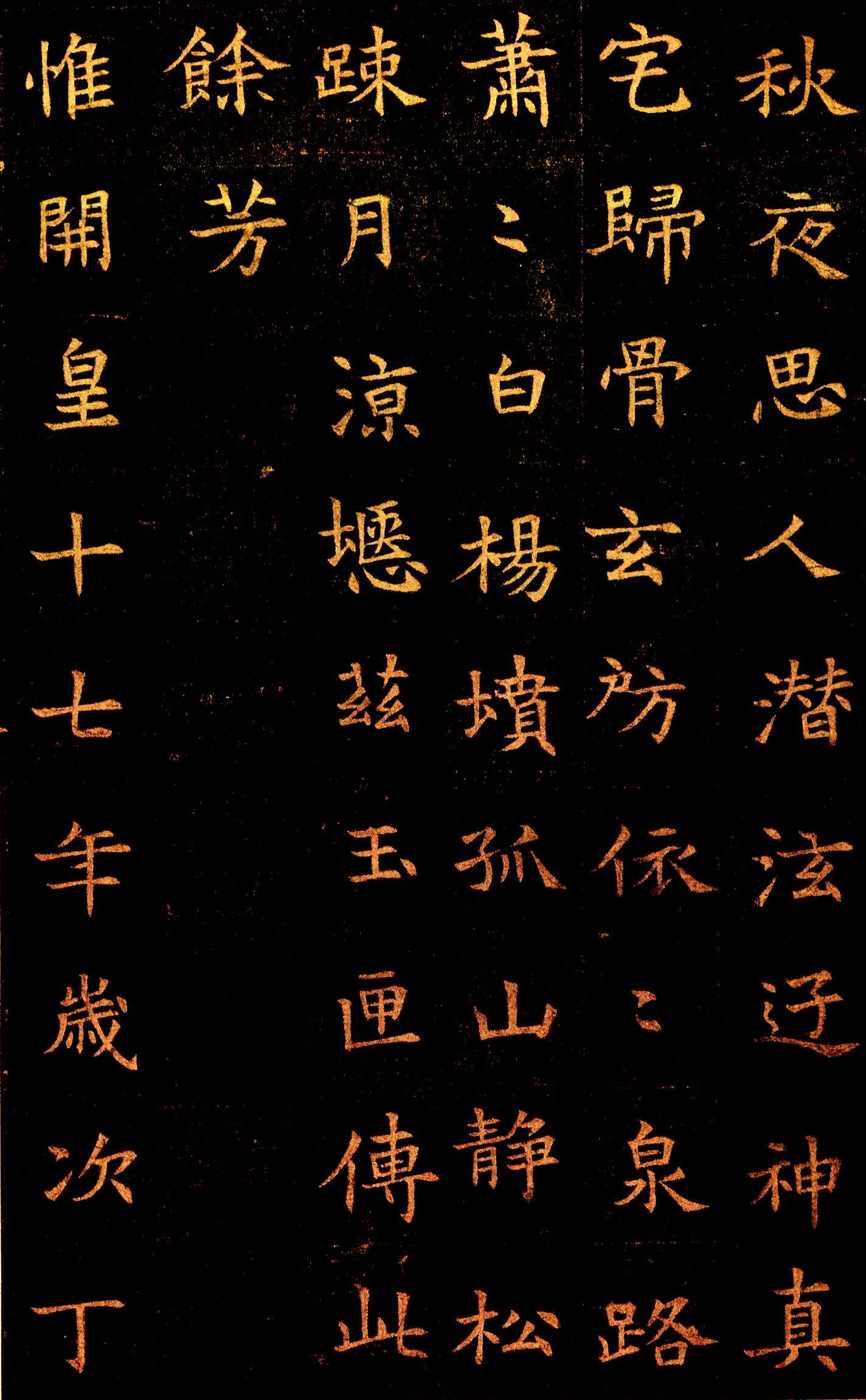 图片地址7