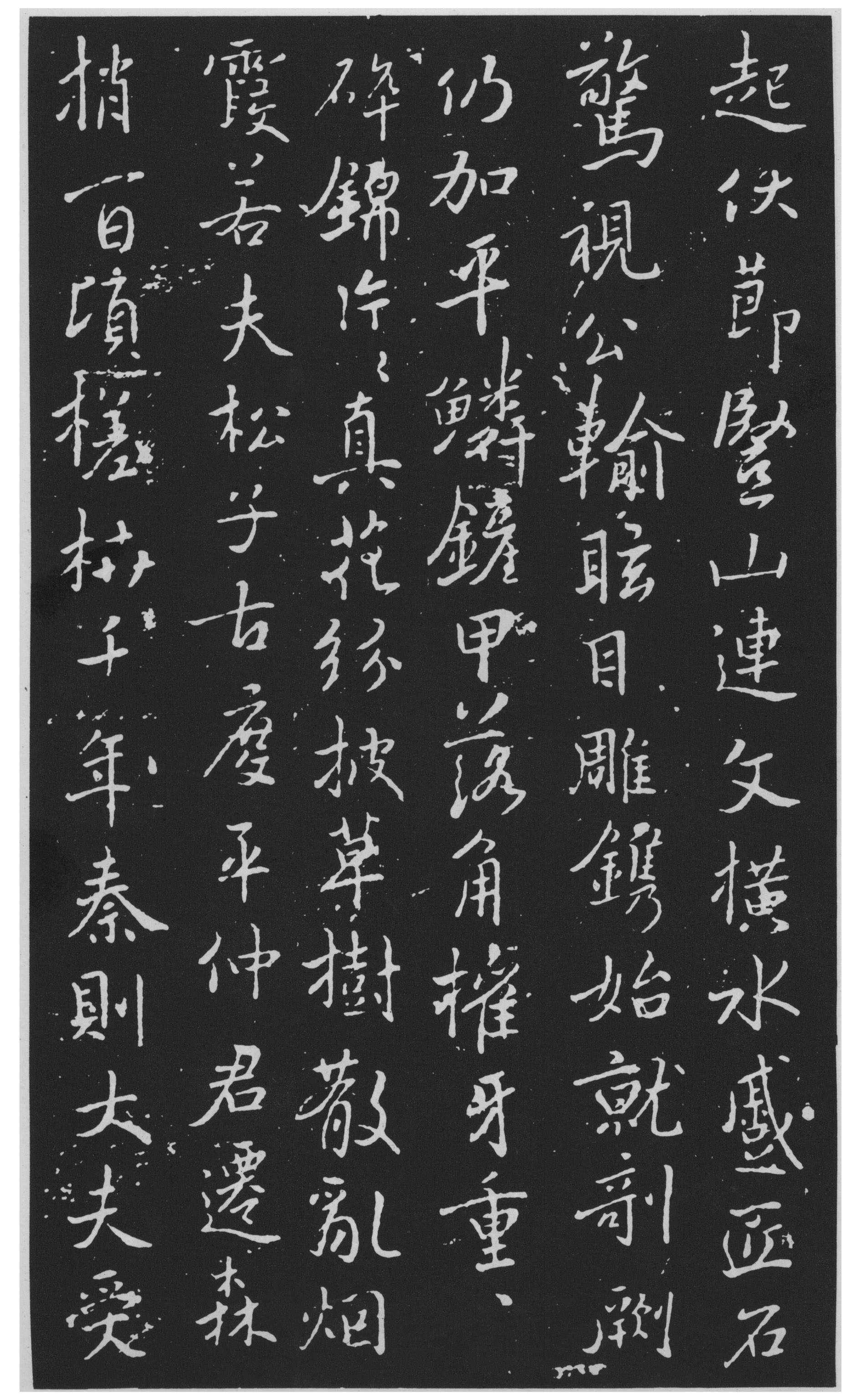 图片地址3