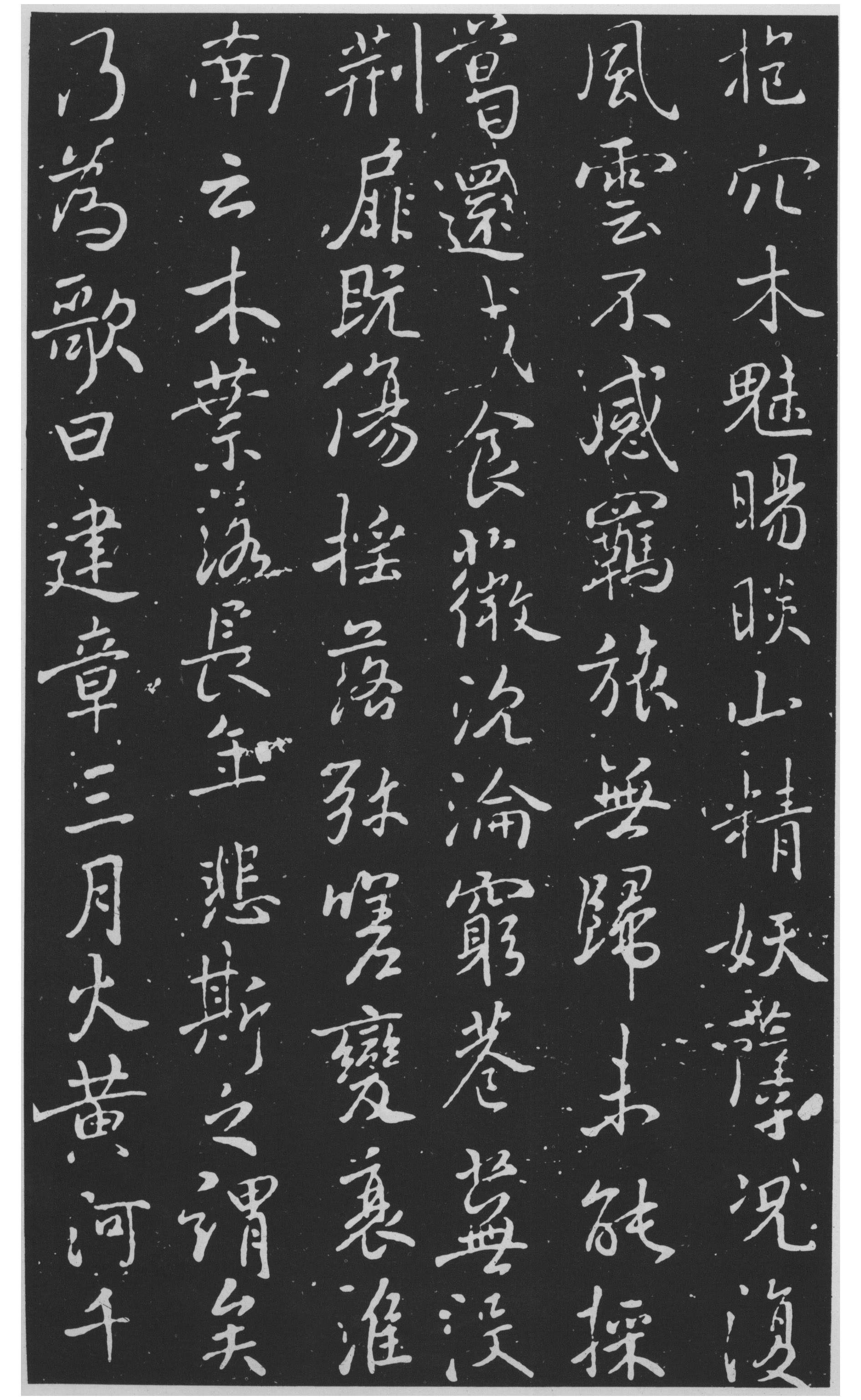 图片地址6