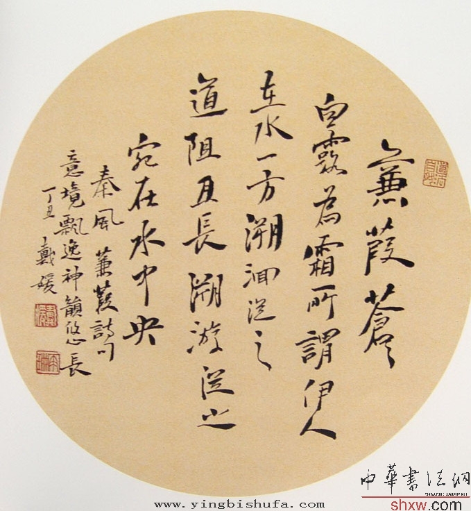 戴媛：行书蒹葭诗句