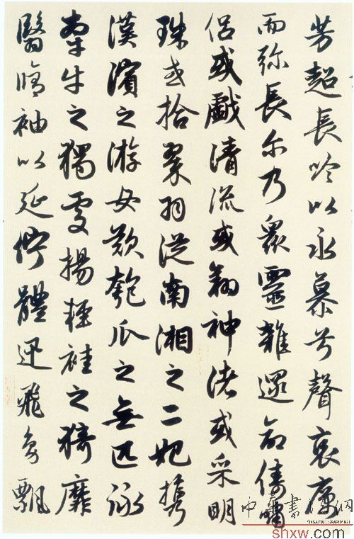 图片说明3