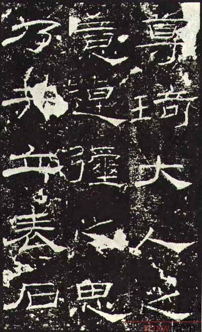 释文：尊琦大人之意逴弥(卓尔)之思乃共立表石