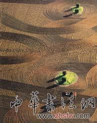按此在新窗口浏览图片