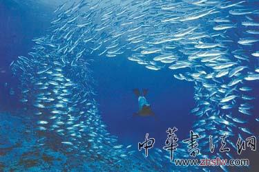 按此在新窗口浏览图片