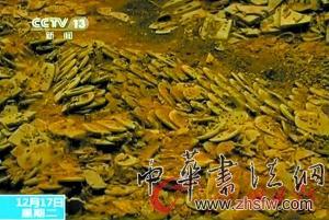秦始皇陵藏“军备库” 战服设计美观实用