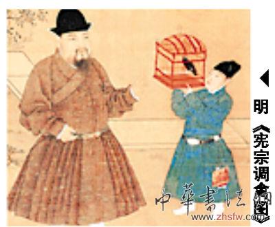 图片资料