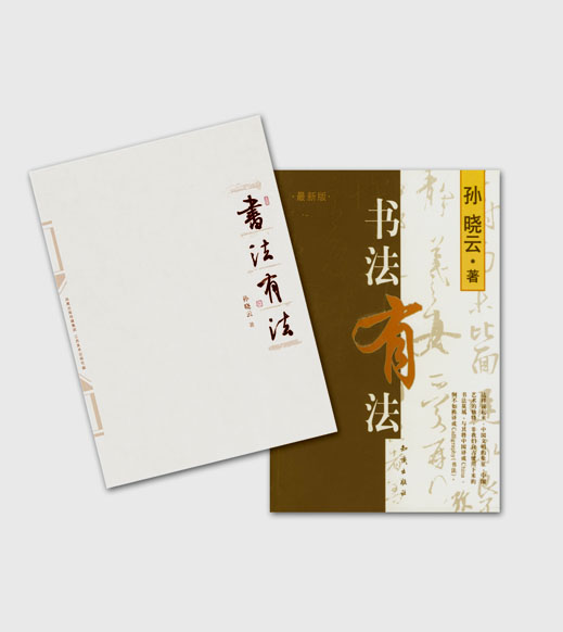 无声润物——访第四届中国书法兰亭奖·艺术奖获得者孙晓云