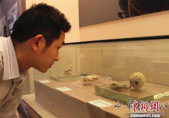 百余件明清时期广东传统工艺精品亮相重庆