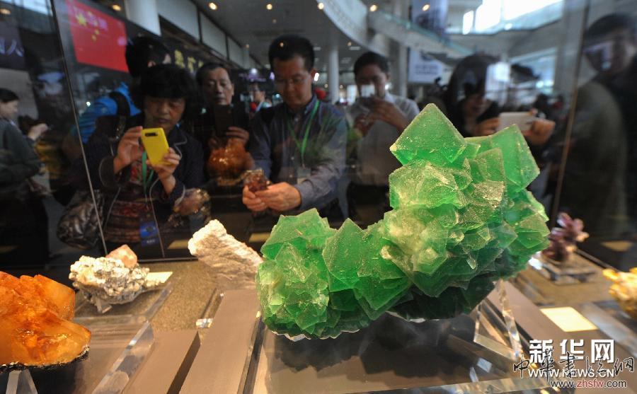 （社会）（2）全球罕见矿物化石宝石荟萃长沙
