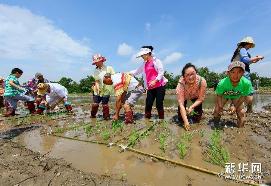 #（社会）（4）大地农民画《巨龙舞梦》正式种“彩龙”