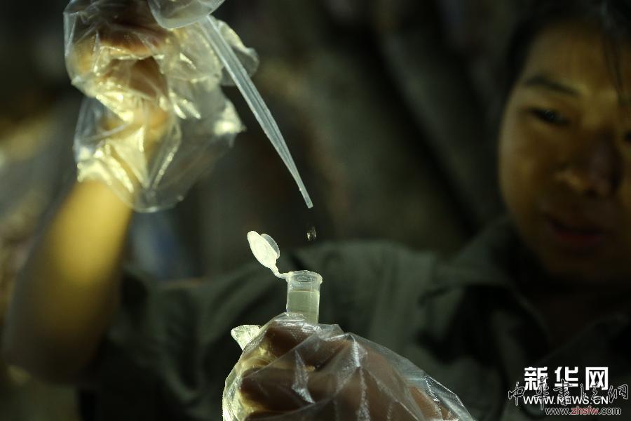 #（文化）（5）持续阴雨阻碍重庆大足千手观音造像修复工作