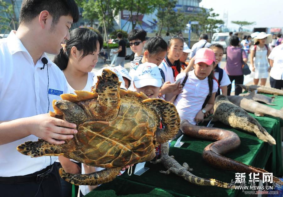 （生态）（2）关爱海洋 我们一起行动