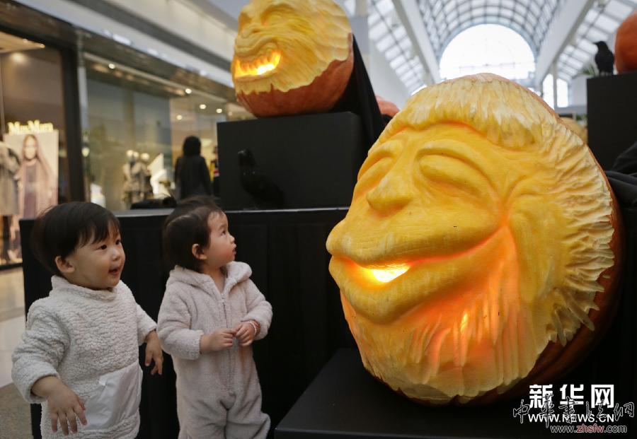 （XHDW）（3）妙趣南瓜雕刻展