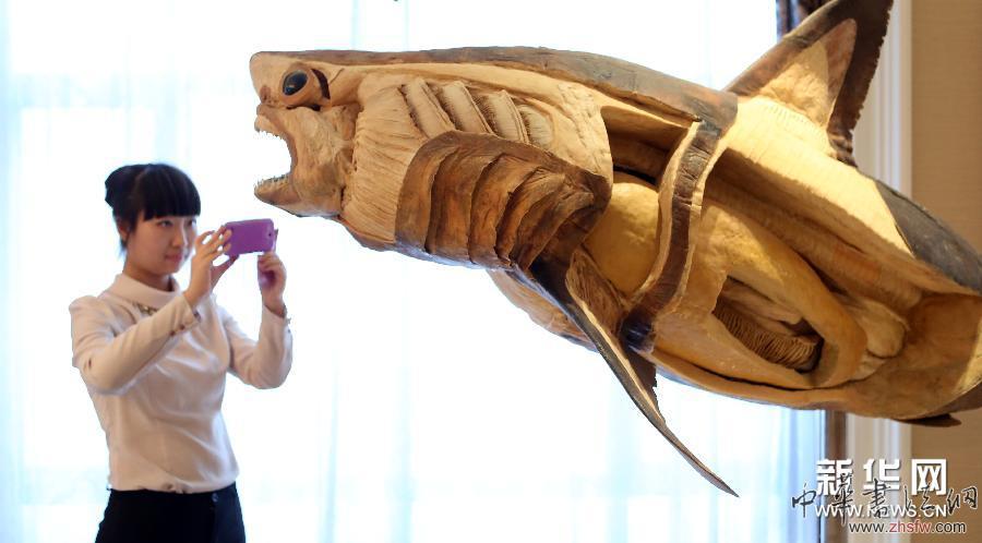 （晚报）海洋生物标本科普展在沈阳举行