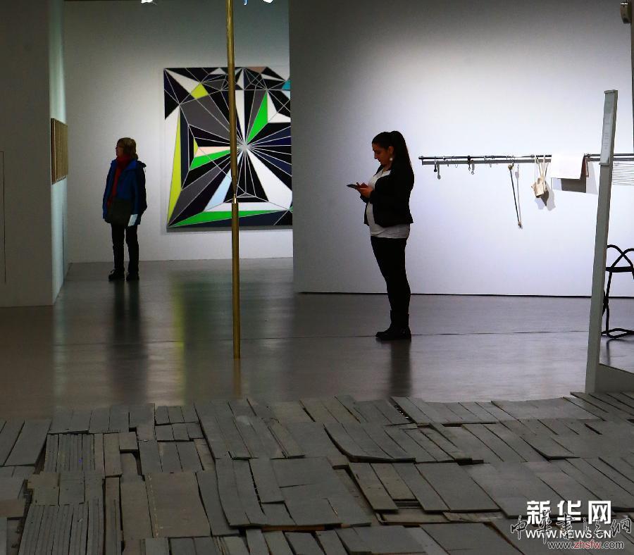 （XHDW）（3）法兰克福举办“当代女艺术家作品展”