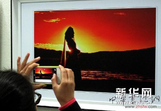 （新华网）（2）锡林郭勒美术书法摄影展在呼和浩特举行