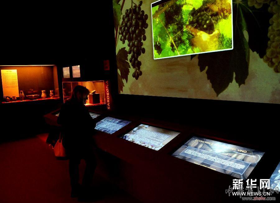 （国际）（1）意大利葡萄酒文化展在罗马开幕