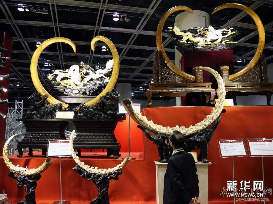 （晚报）（3）香港首个猛犸牙雕艺术展揭幕