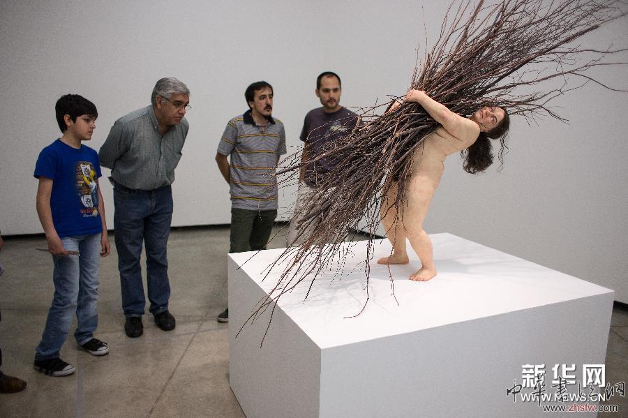 （国际）（3）澳大利亚艺术家罗恩·米克雕塑作品在阿根廷展出