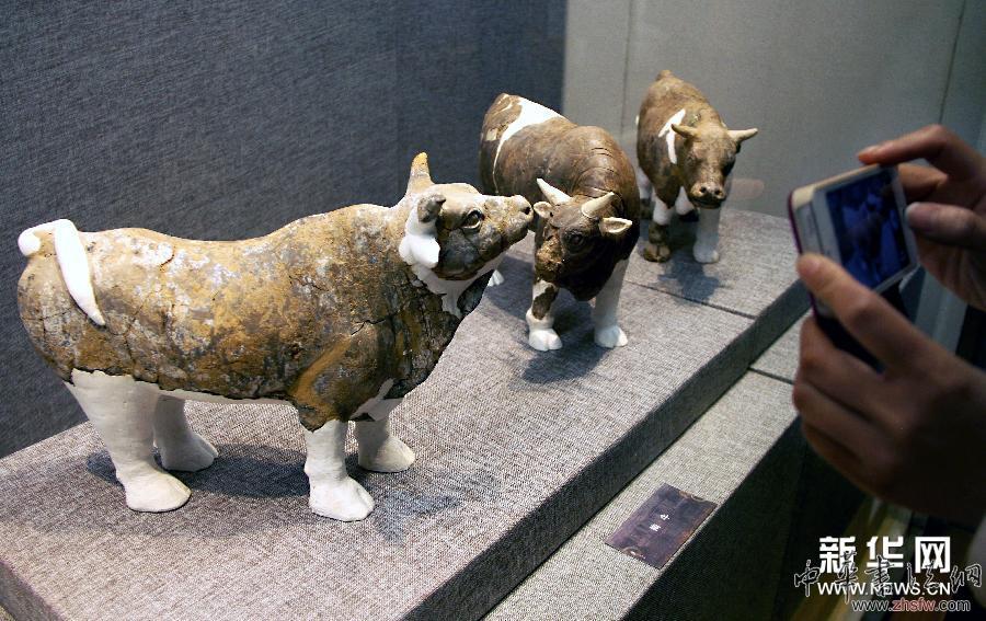 隋炀帝墓出土文物特展在扬州开展 组图