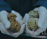 文玩核桃热：品相好能卖十几万