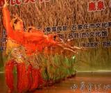 石家庄市第三届农民艺术节开幕