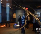 美国自然历史博物馆将举办大型翼龙展