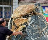 泰山老农发现“雄狮”“金龟”石 图