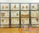 当代艺术收藏实力派玩胜偶像派