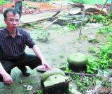 长沙发现北宋著名理学家游酢的一支后裔