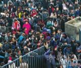 美术、设计成报考热门让业内人士既喜又忧（图）
