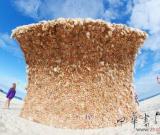 澳大利亚艺术家用3000多个芭比娃娃打造巨型海浪