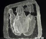 琉璃之人间探索——杨惠姗、张毅联展