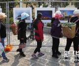 首届红河哈尼梯田世界文化遗产国际摄影双年展在云南元阳举行 图