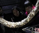 千件猛犸牙雕亮相潘家园