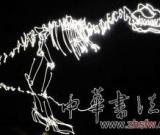 艺术家用手电筒再现恐龙(图)