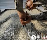 艺术家10万枚钉子创作“钉子户”作品
