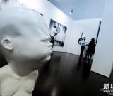 2014维也纳艺术展开幕