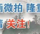 “翰墨齐鲁.首届全国花鸟画作品展”征稿通知