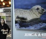 用图片谱写生命之歌 展示丰富多彩的生物多样性