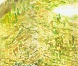 绿天野云（中国画）