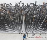 “重新生长：许江艺术展” 在德累斯顿举办